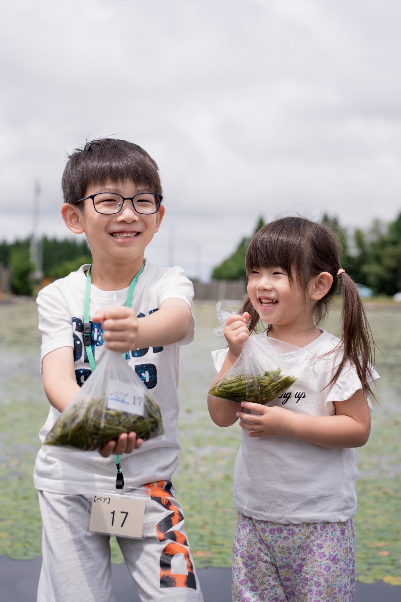 ジュンサイいっぱいとれたよ