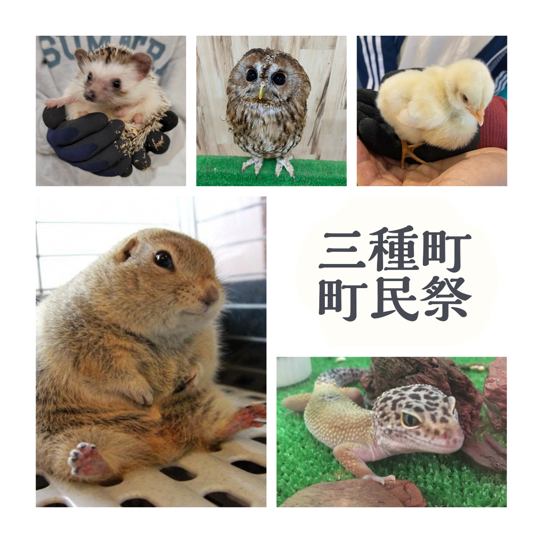 移動動物園