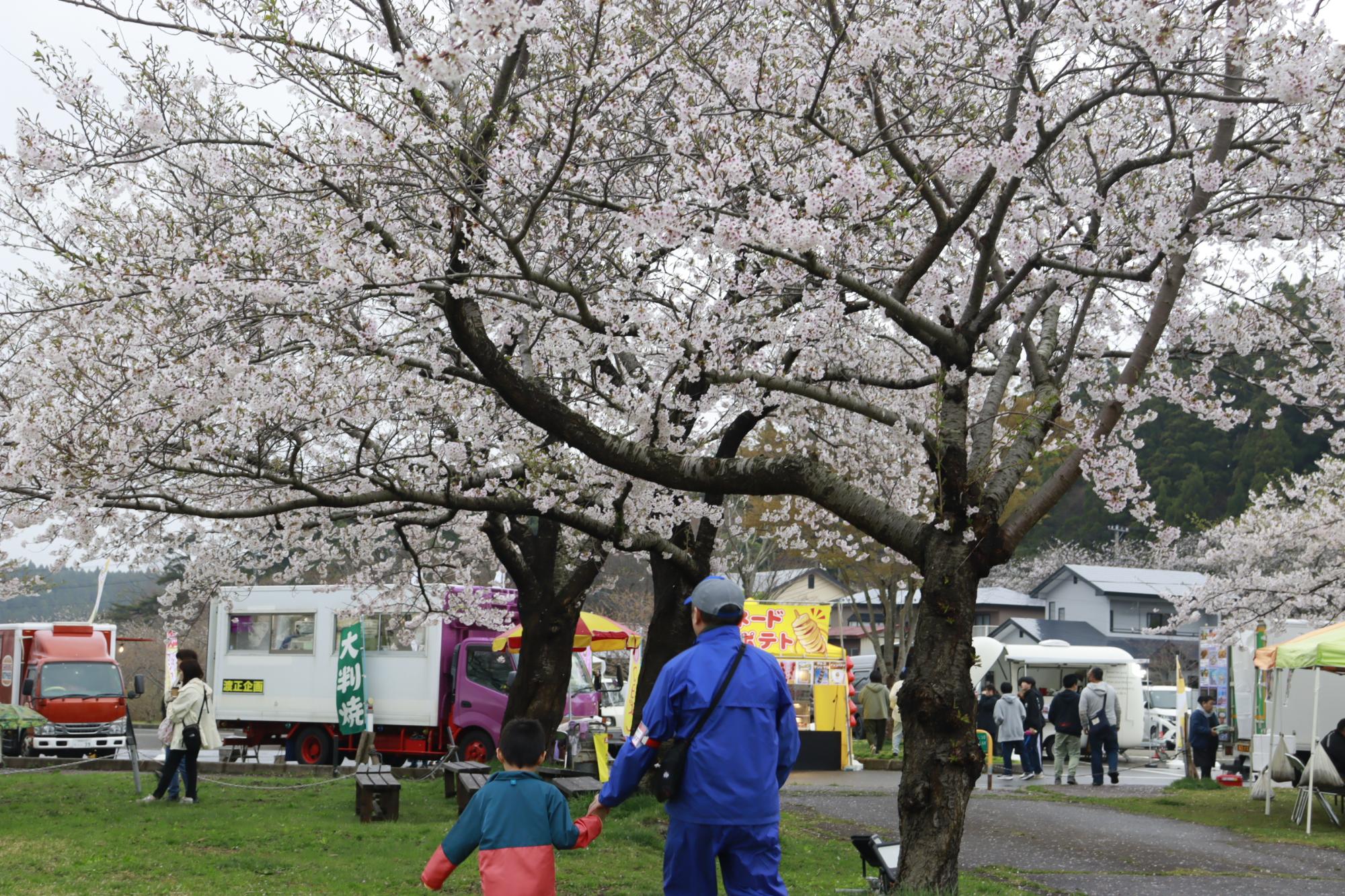 惣三郎沼公園の夜桜の様子2
