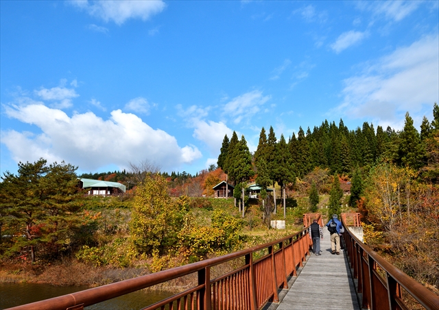 湖面にかかる橋の上を観光客の方々が渡っている羽根川森林公園の写真