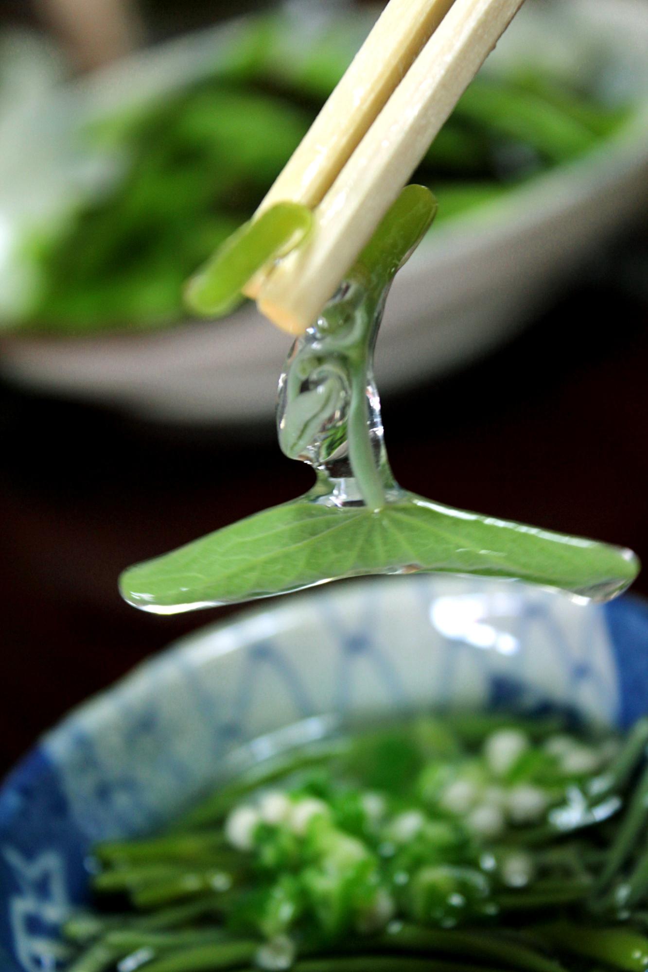 プルンとした透明なジェルを帯びた緑色のじゅんさいを箸で挟んでいる写真