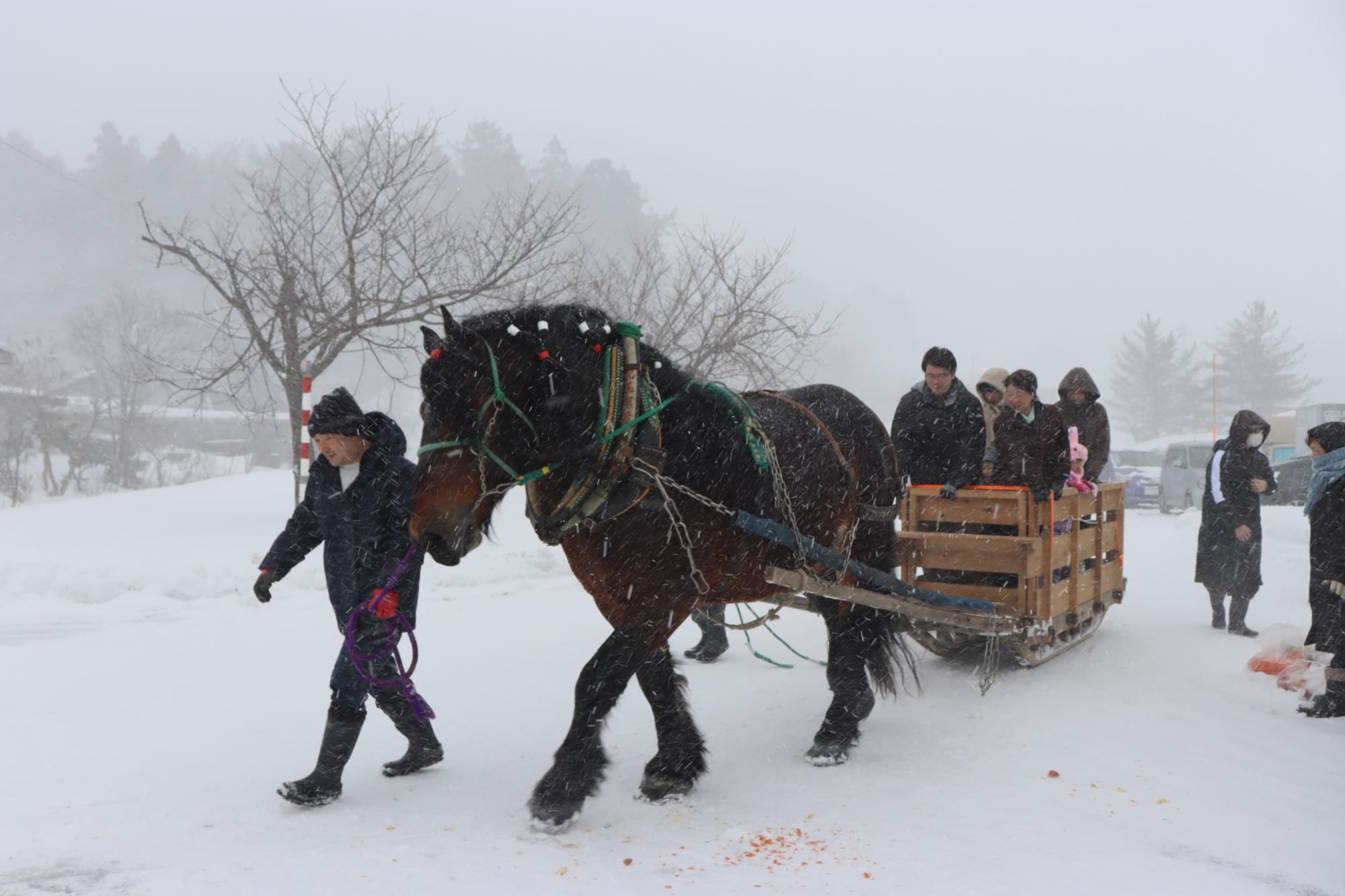 みたね冬まつり2026の馬そりの画像